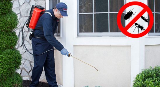 Kumluca Karınca İlaçlama böcek ilaçlama ve haşere kontrolü — ilaclama-tr.com